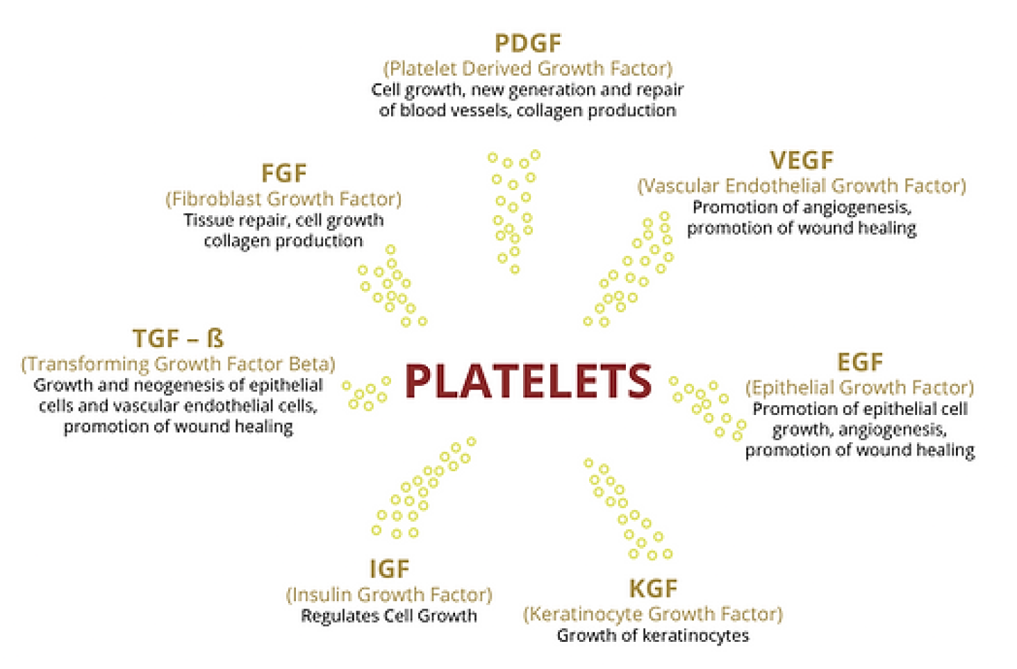Platelets growth factors diagram
